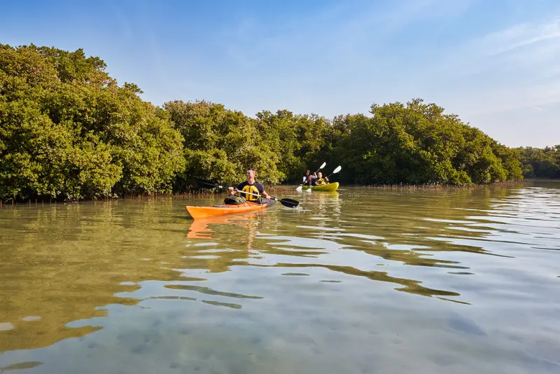 About Yaanika Travel & Tours